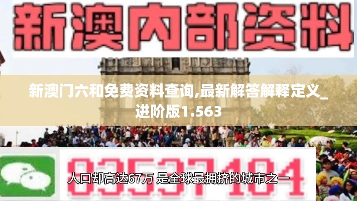 新澳门六和免费资料查询,最新解答解释定义_进阶版1.563