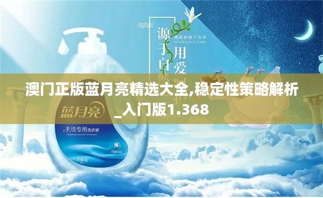 澳门正版蓝月亮精选大全,稳定性策略解析_入门版1.368