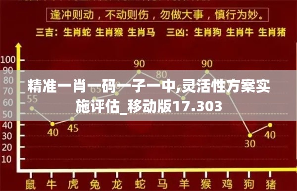 精准一肖一码一子一中,灵活性方案实施评估_移动版17.303