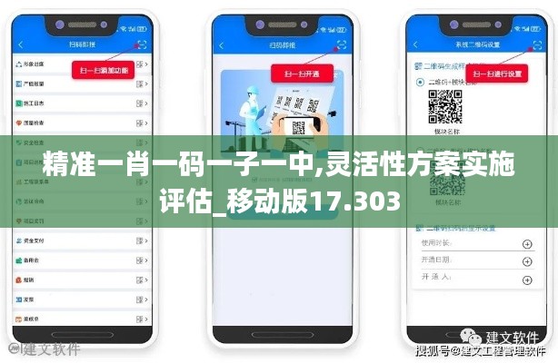 精准一肖一码一子一中,灵活性方案实施评估_移动版17.303
