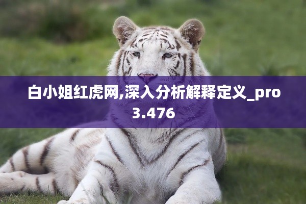 白小姐红虎网,深入分析解释定义_pro3.476