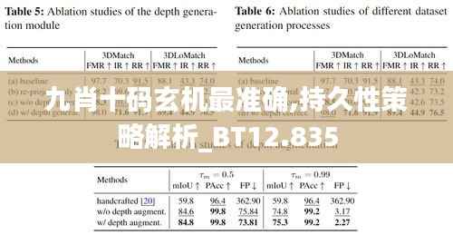 九肖十码玄机最准确,持久性策略解析_BT12.835