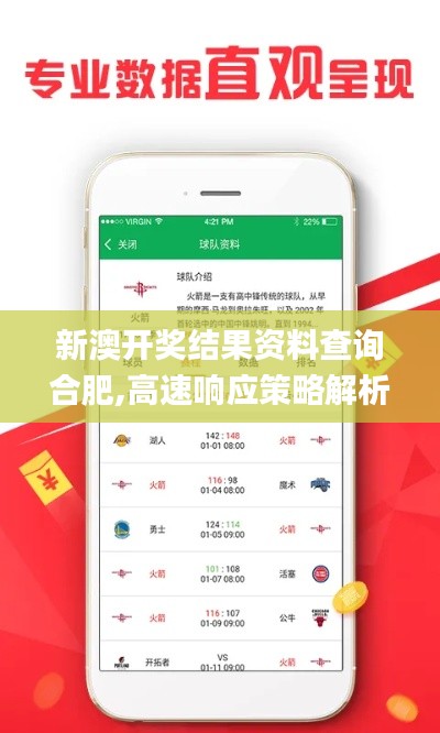新澳开奖结果资料查询合肥,高速响应策略解析_精简版6.968
