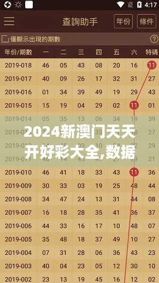2024新澳门天天开好彩大全,数据解析导向计划_eShop12.646