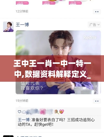 王中王一肖一中一特一中,数据资料解释定义_Surface8.122