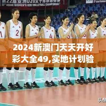 2024新澳门天天开好彩大全49,实地计划验证策略_AP1.742