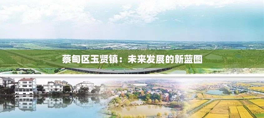 蔡甸区玉贤镇：未来发展的新蓝图