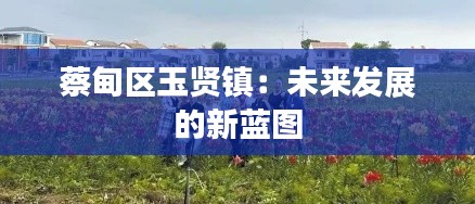 蔡甸区玉贤镇:未来发展的新蓝图