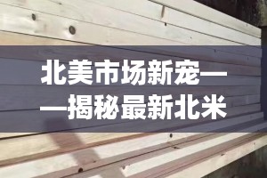 北美市场新宠——揭秘最新北米板的特点与趋势