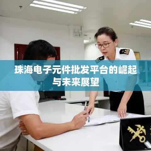 珠海电子元件批发平台的崛起与未来展望