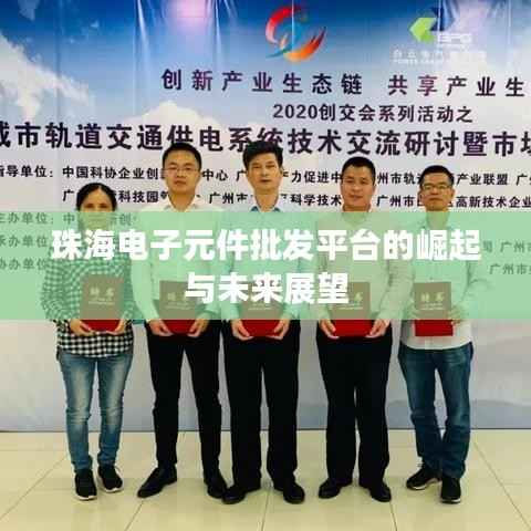 珠海电子元件批发平台的崛起与未来展望