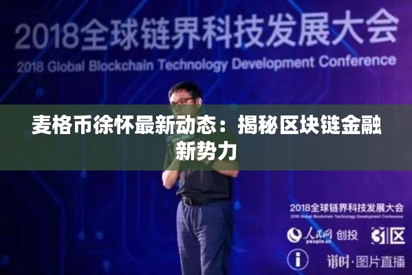 麦格币徐怀最新动态:揭秘区块链金融新势力