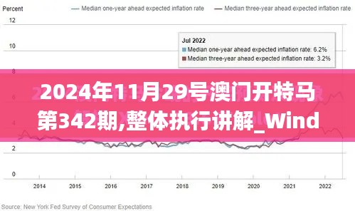 2024年11月29号澳门开特马第342期,整体执行讲解_Windows3.637