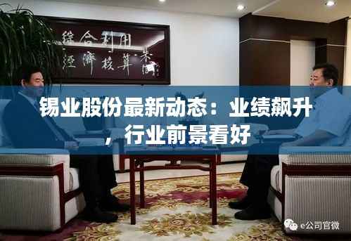 锡业股份最新动态:业绩飙升,行业前景看好