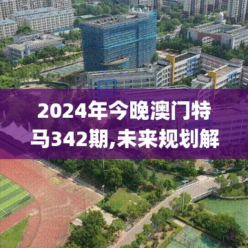 2024年今晚澳门特马342期,未来规划解析说明_BT17.164