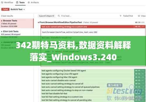 342期特马资料,数据资料解释落实_Windows3.240