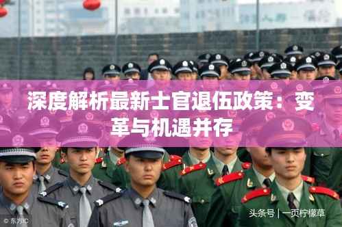 深度解析最新士官退伍政策:变革与机遇并存