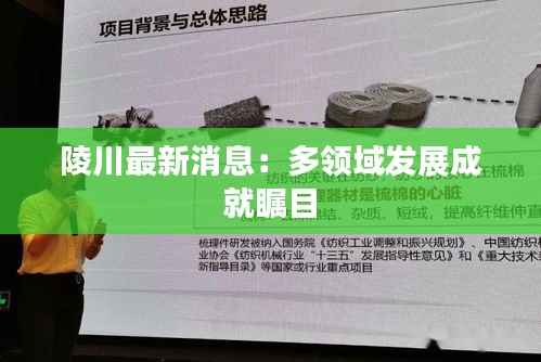 陵川最新消息：多领域发展成就瞩目