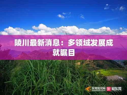 陵川最新消息:多领域发展成就瞩目