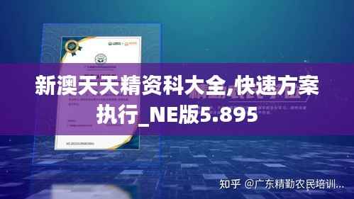 新澳天天精资科大全,快速方案执行_NE版5.895