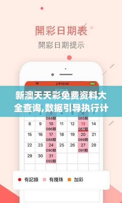 新澳天天彩免费资料大全查询,数据引导执行计划_Elite5.175