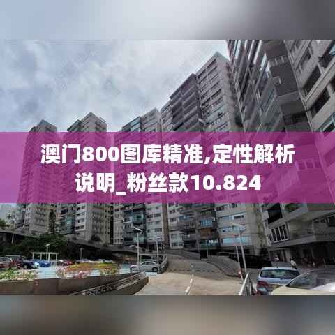 澳门800图库精准,定性解析说明_粉丝款10.824