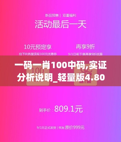 一码一肖100中码,实证分析说明_轻量版4.809