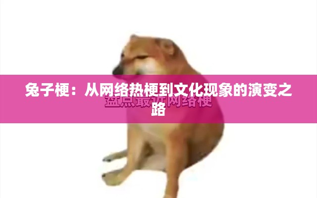 兔子梗:从网络热梗到文化现象的演变之路