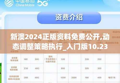新澳2024正版资料免费公开,动态调整策略执行_入门版10.239