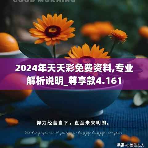 2024年天天彩免费资料,专业解析说明_尊享款4.161