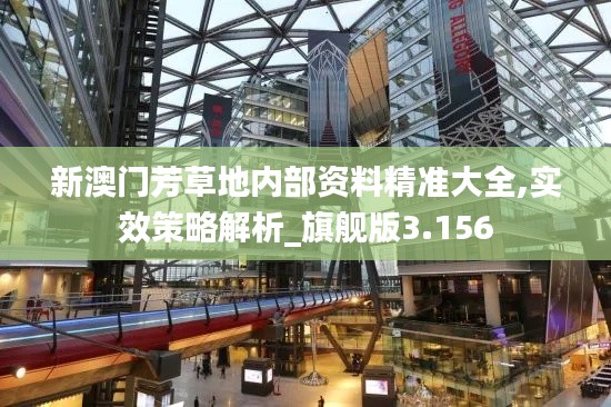新澳门芳草地内部资料精准大全,实效策略解析_旗舰版3.156