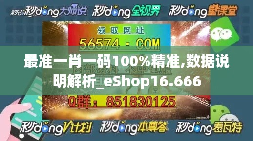 最准一肖一码100%精准,数据说明解析_eShop16.666