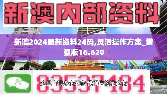 新澳2024最新资料24码,灵活操作方案_增强版16.620