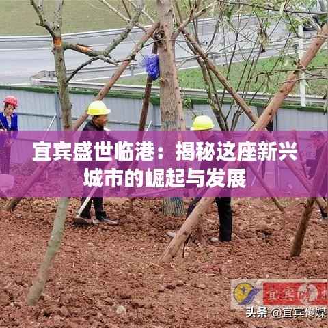 宜宾盛世临港:揭秘这座新兴城市的崛起与发展