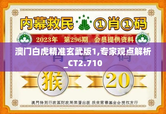 澳门白虎精准玄武版1,专家观点解析_CT2.710