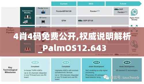 4肖4码免费公开,权威说明解析_PalmOS12.643