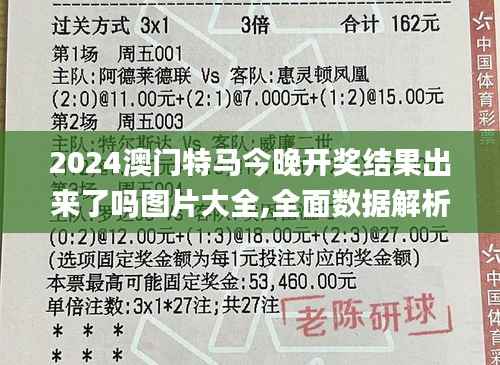 2024澳门特马今晚开奖结果出来了吗图片大全,全面数据解析执行_冒险款1.480