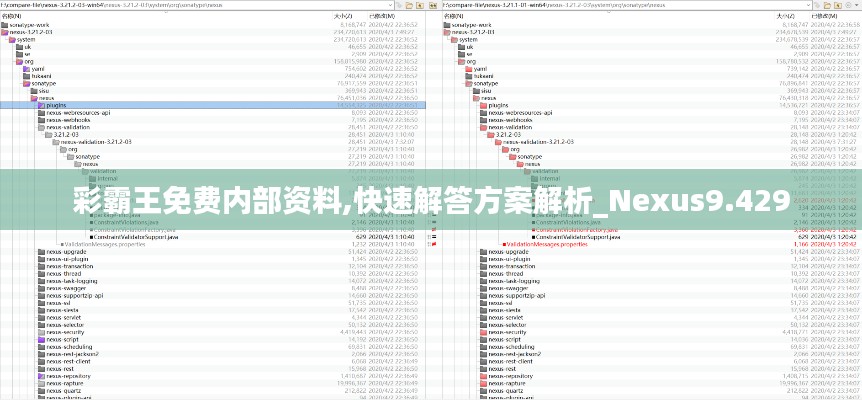 彩霸王免费内部资料,快速解答方案解析_Nexus9.429