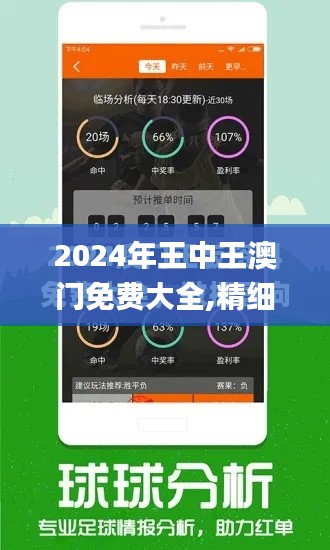 2024年王中王澳门免费大全,精细化计划执行_Superior2.428