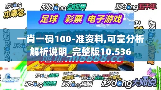一肖一码100-准资料,可靠分析解析说明_完整版10.536