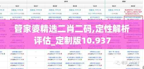 管家婆精选二肖二码,定性解析评估_定制版10.937