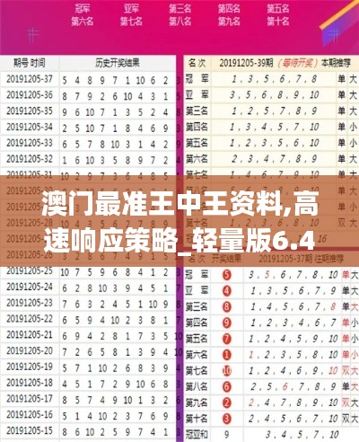 澳门最准王中王资料,高速响应策略_轻量版6.494