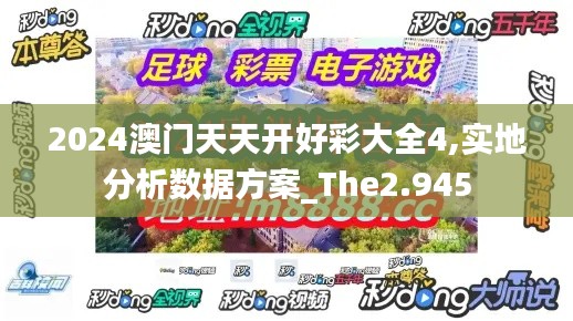 2024澳门天天开好彩大全4,实地分析数据方案_The2.945
