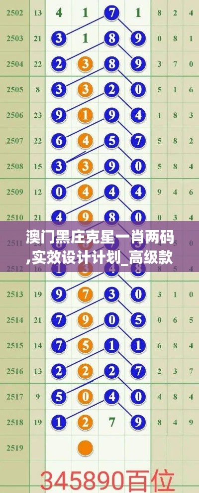 澳门黑庄克星一肖两码,实效设计计划_高级款3.297