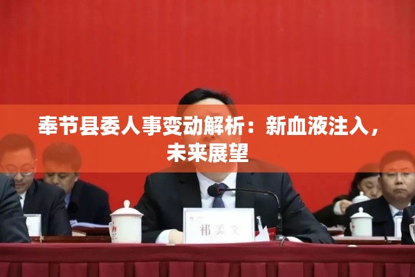奉节县委人事变动解析：新血液注入，未来展望