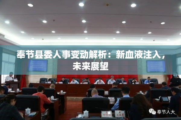 奉节县委人事变动解析:新血液注入,未来展望