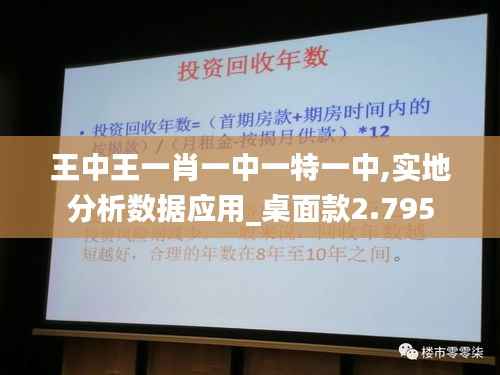 王中王一肖一中一特一中,实地分析数据应用_桌面款2.795