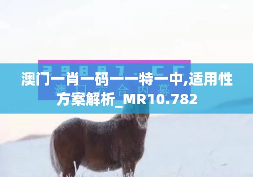 澳门一肖一码一一特一中,适用性方案解析_MR10.782