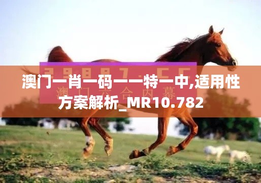 澳门一肖一码一一特一中,适用性方案解析_MR10.782