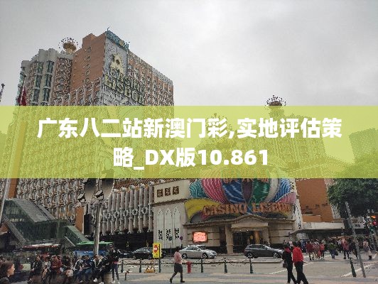 广东八二站新澳门彩,实地评估策略_DX版10.861